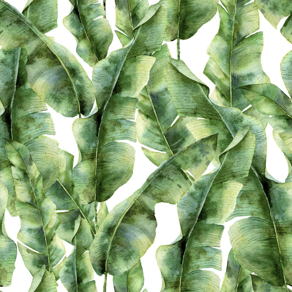 Papel de Parede Folhas de Bananeira 