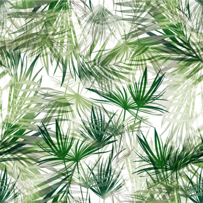 Papel de Parede Folhas de Palmeira